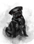 Pets - Pug Negro