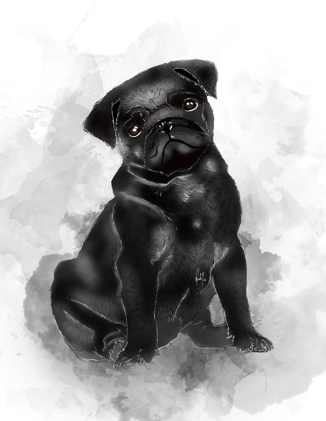 Pets - Pug Negro